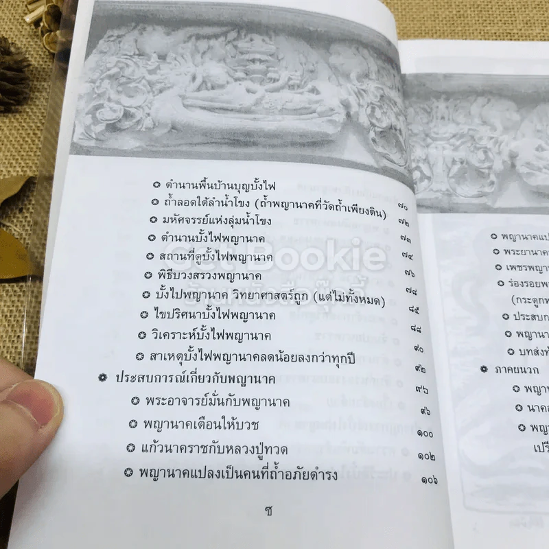 ร่องรอยนาคา พลิกมิติพญานาค พิสูจน์พลังต่างมิติ รูปที่ 9