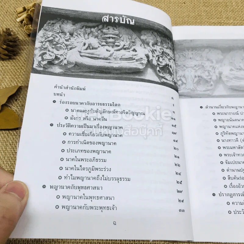 ร่องรอยนาคา พลิกมิติพญานาค พิสูจน์พลังต่างมิติ รูปที่ 7