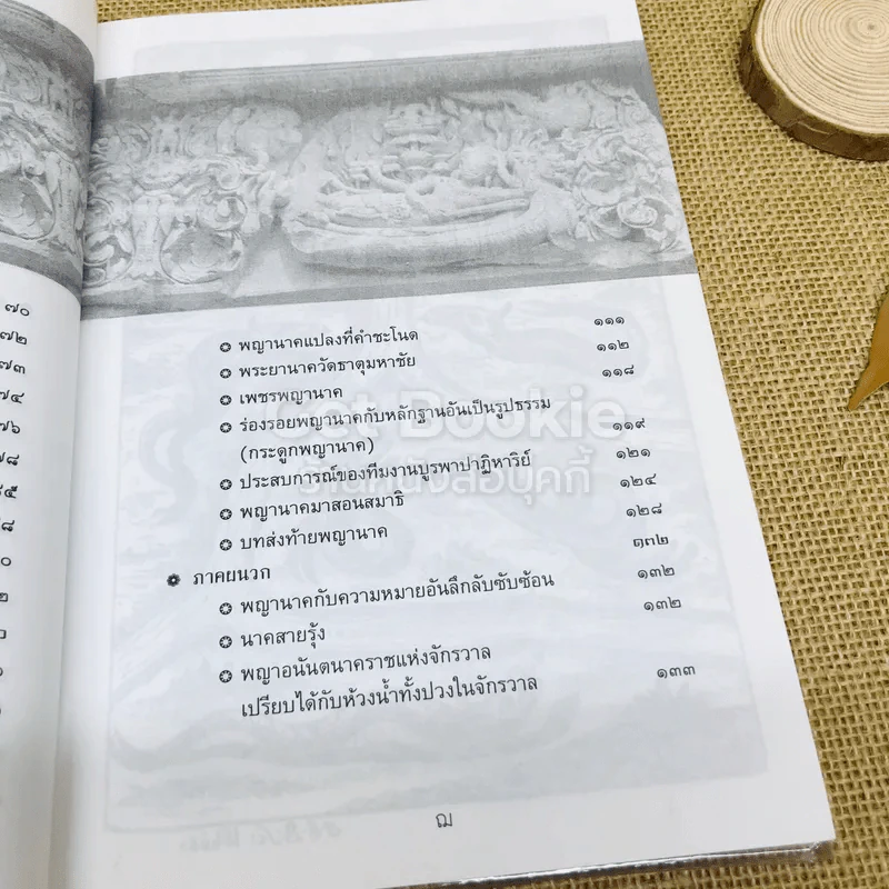 ร่องรอยนาคา พลิกมิติพญานาค พิสูจน์พลังต่างมิติ รูปที่ 10
