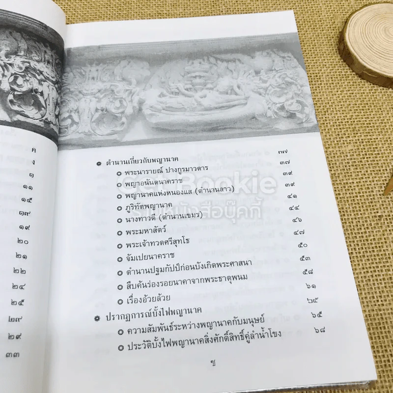 ร่องรอยนาคา พลิกมิติพญานาค พิสูจน์พลังต่างมิติ รูปที่ 8