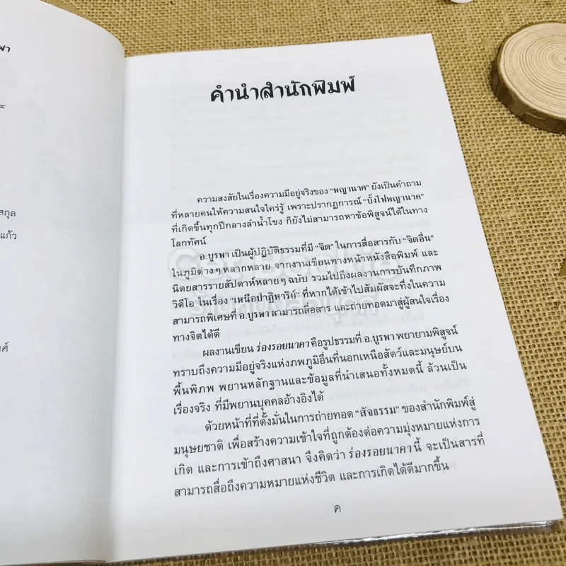 ร่องรอยนาคา พลิกมิติพญานาค พิสูจน์พลังต่างมิติ รูปที่ 6