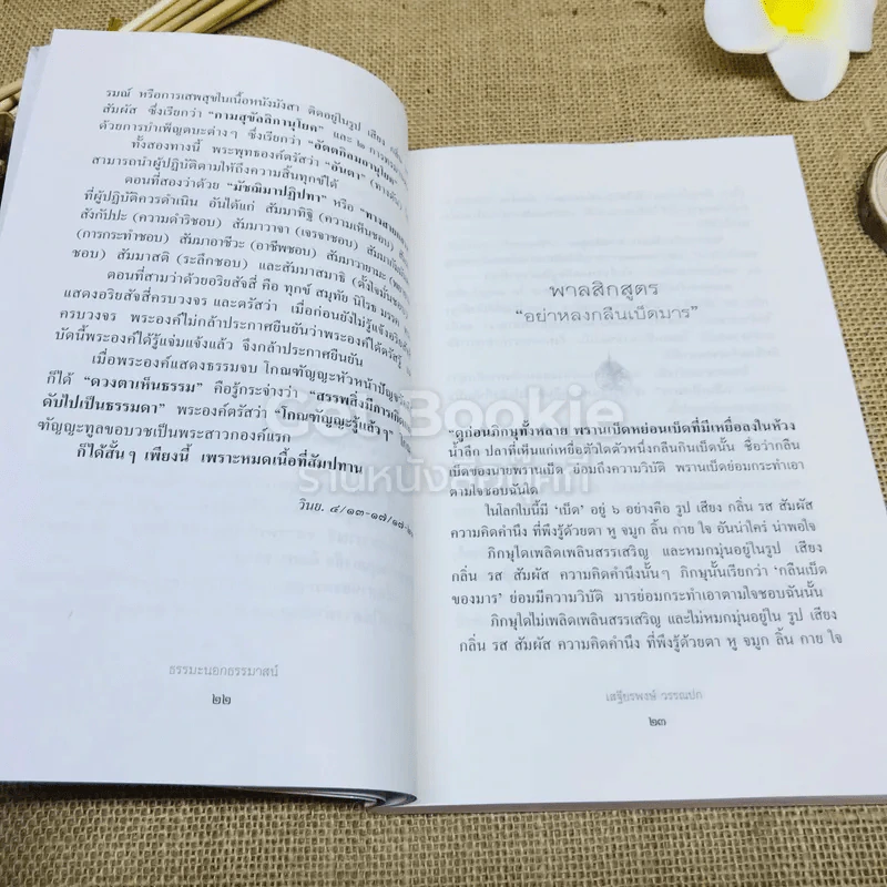 ธรรมะนอกธรรมาสน์ รูปที่ 14