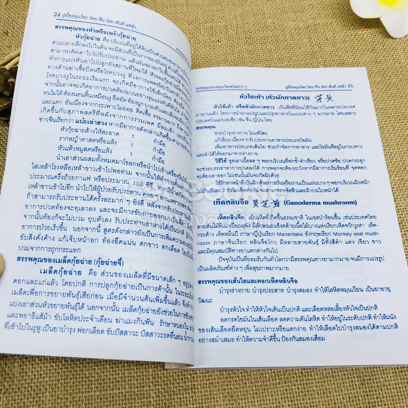 คู่มือสมุนไพร ไทย-จีน รูปที่ 15
