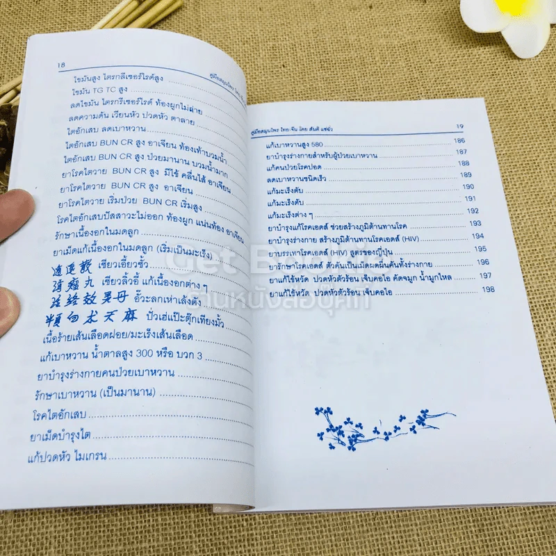 คู่มือสมุนไพร ไทย-จีน รูปที่ 13