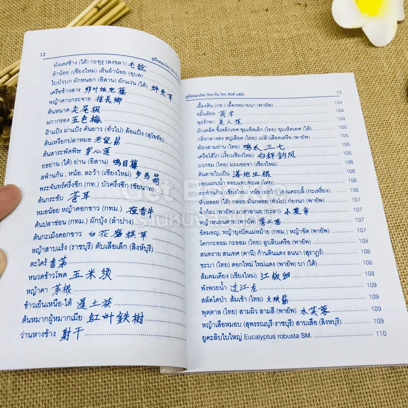 คู่มือสมุนไพร ไทย-จีน รูปที่ 10
