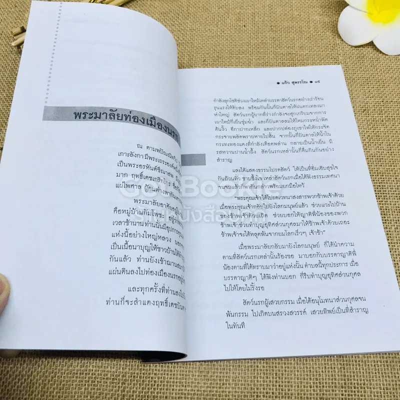 นรกสวรรค์มีจริง - แก้ว สุพรรโณ รูปที่ 9