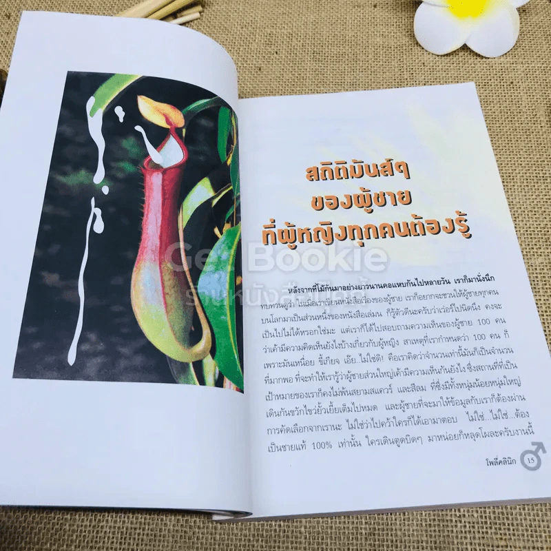 เอายังไงดีคะ รูปที่ 9