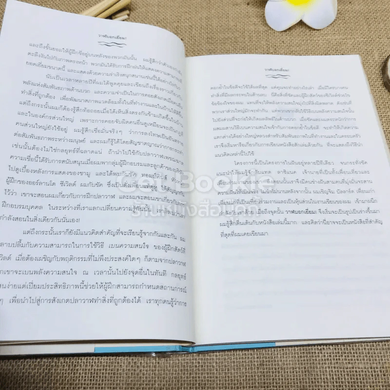 วาฬบอกเยี่ยม Whale Done! พลังแห่งความสัมพันธภาพด้านบวก รูปที่ 8