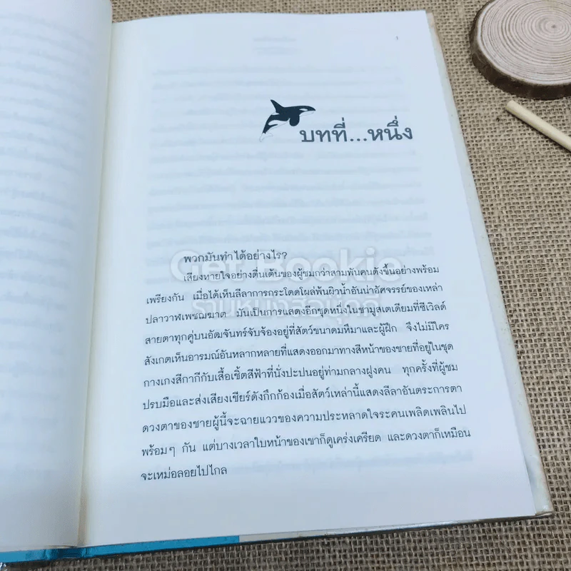 วาฬบอกเยี่ยม Whale Done! พลังแห่งความสัมพันธภาพด้านบวก รูปที่ 9