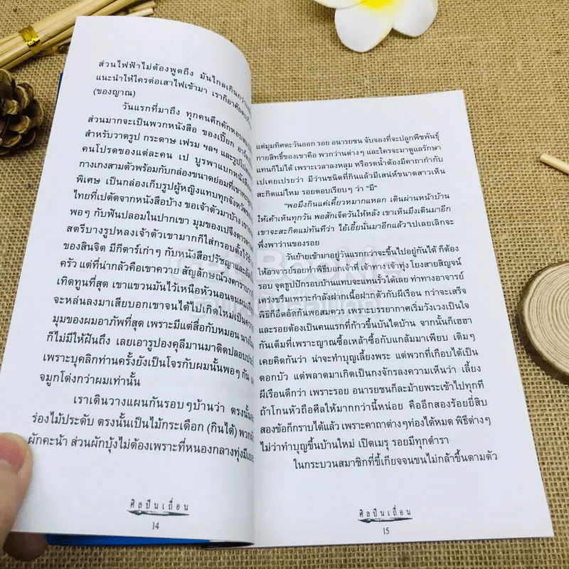 ศิลปินเถื่อน รูปที่ 8