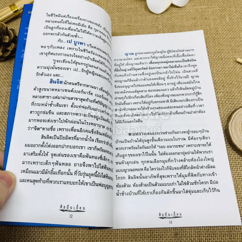 ศิลปินเถื่อน รูปที่ 7