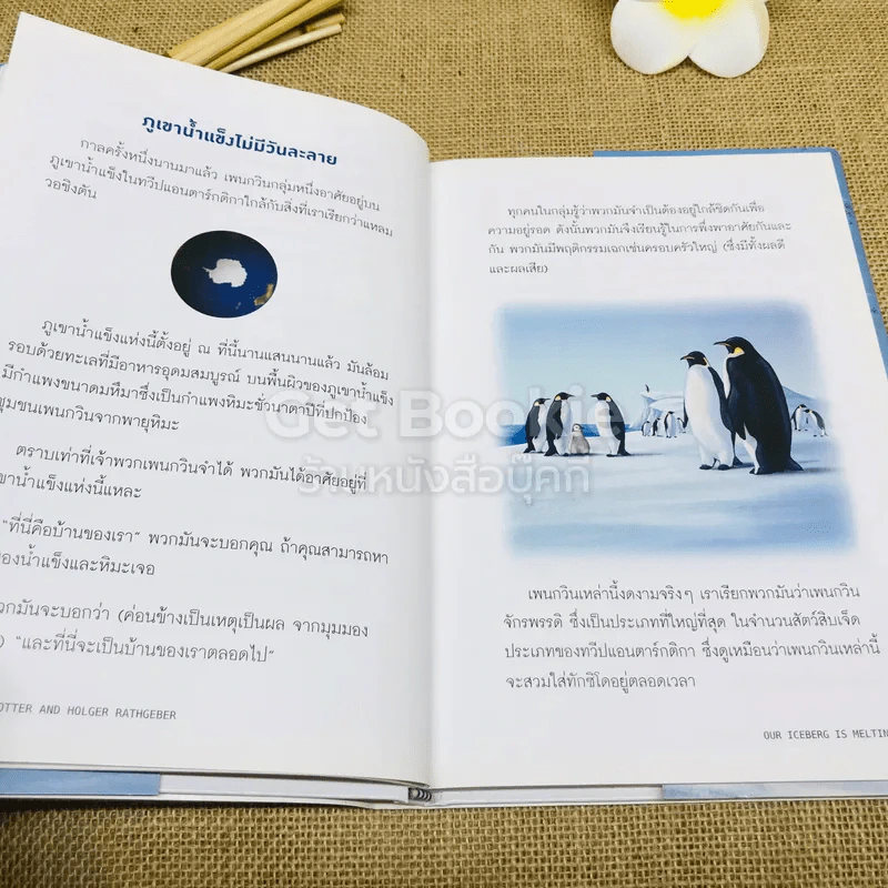 เมื่อภูเขาน้ำแข็งละลาย รูปที่ 8