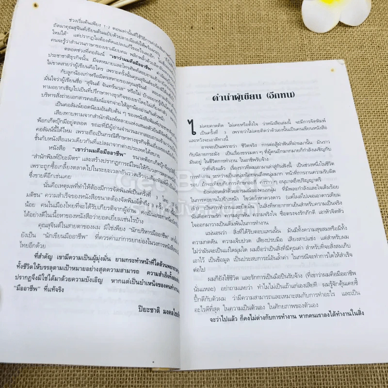 เขาว่าผมคือมืออาชีพ รูปที่ 8