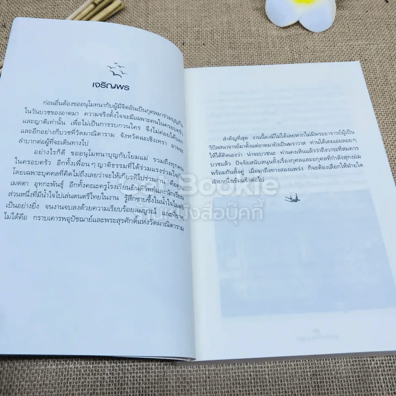 ดูจิตหนึ่งพรรษา รูปที่ 8