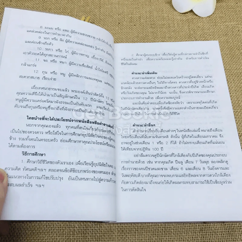 12 ปีนักษัตรและวันเกิดทั้ง 7 วัน รูปที่ 8