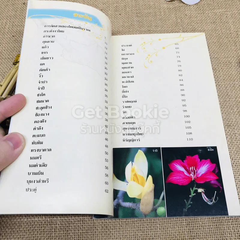 ร้อยพรรณพฤกษา พรรณไม้ในวรรณคดี 1 รูปที่ 5