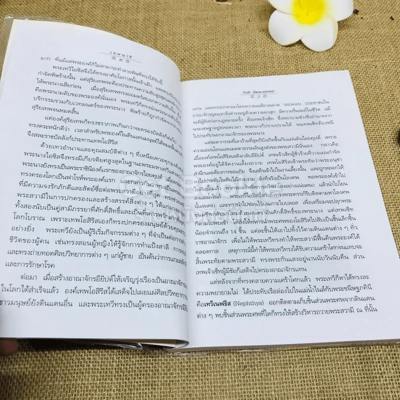 เทพนารี รูปที่ 9