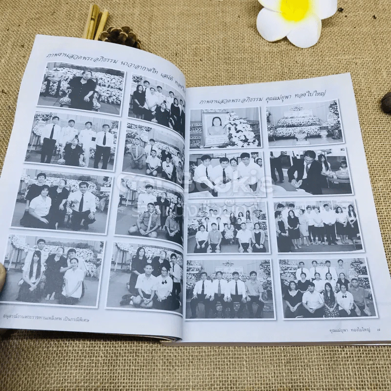 สมุนไพรต้านโรค อนุสรณ์งานพระราชทานเพลิงศพ เป็นกรณีพิเศษ คุณแม่ยุพา ทองใบใหญ่ รูปที่ 6