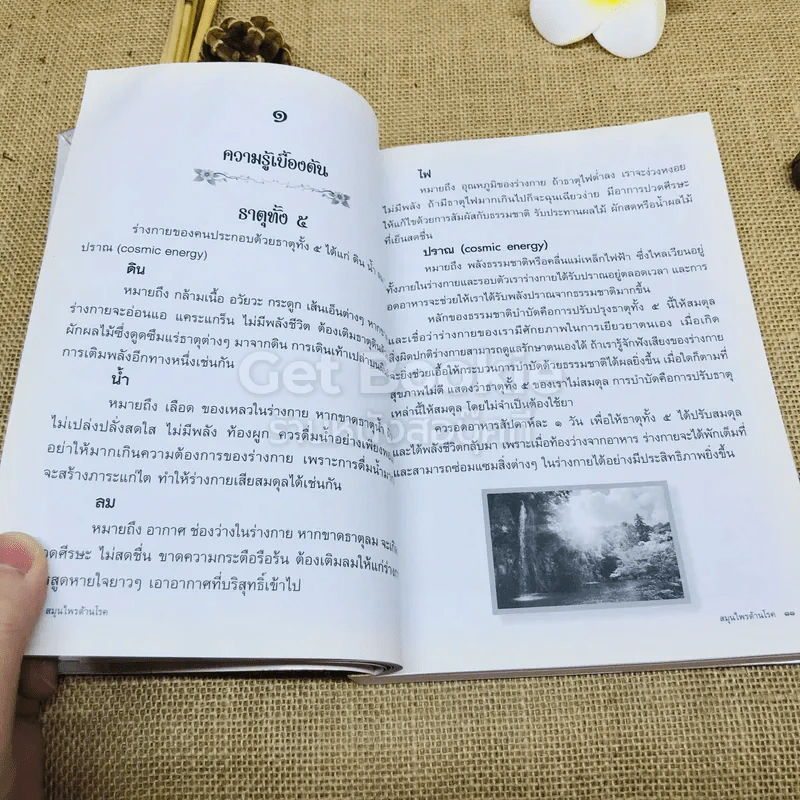 สมุนไพรต้านโรค อนุสรณ์งานพระราชทานเพลิงศพ เป็นกรณีพิเศษ คุณแม่ยุพา ทองใบใหญ่ รูปที่ 9