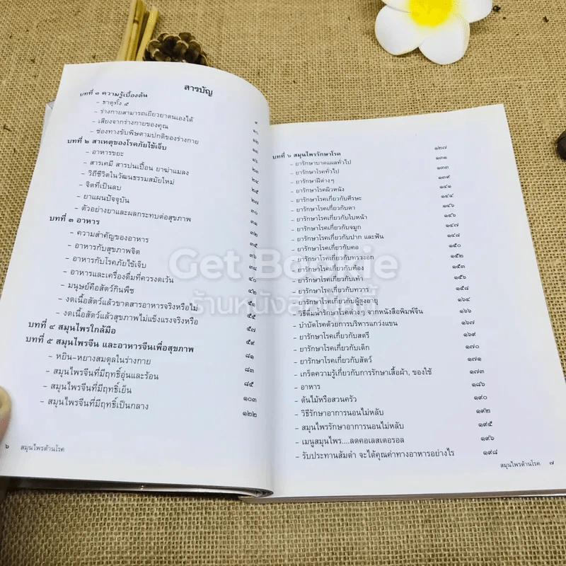 สมุนไพรต้านโรค อนุสรณ์งานพระราชทานเพลิงศพ เป็นกรณีพิเศษ คุณแม่ยุพา ทองใบใหญ่ รูปที่ 8