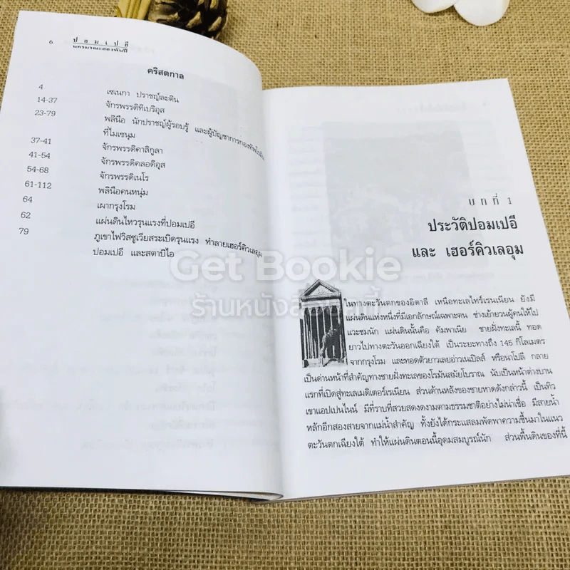 ปอมเปอี นครมรณะสองพันปี รูปที่ 9