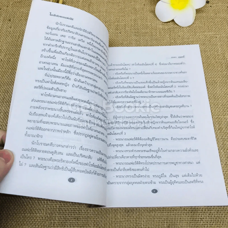 โลกลึกลับของเนเฟอร์ติติ ราชินีไอยคุปต์ที่สวยที่สุดในโลก รูปที่ 8