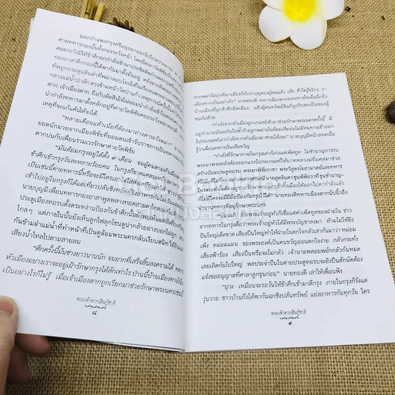 นิยายอิงประวัติศาสตร์ไทย พระเจ้าตากสินกู้ชาติ รูปที่ 8