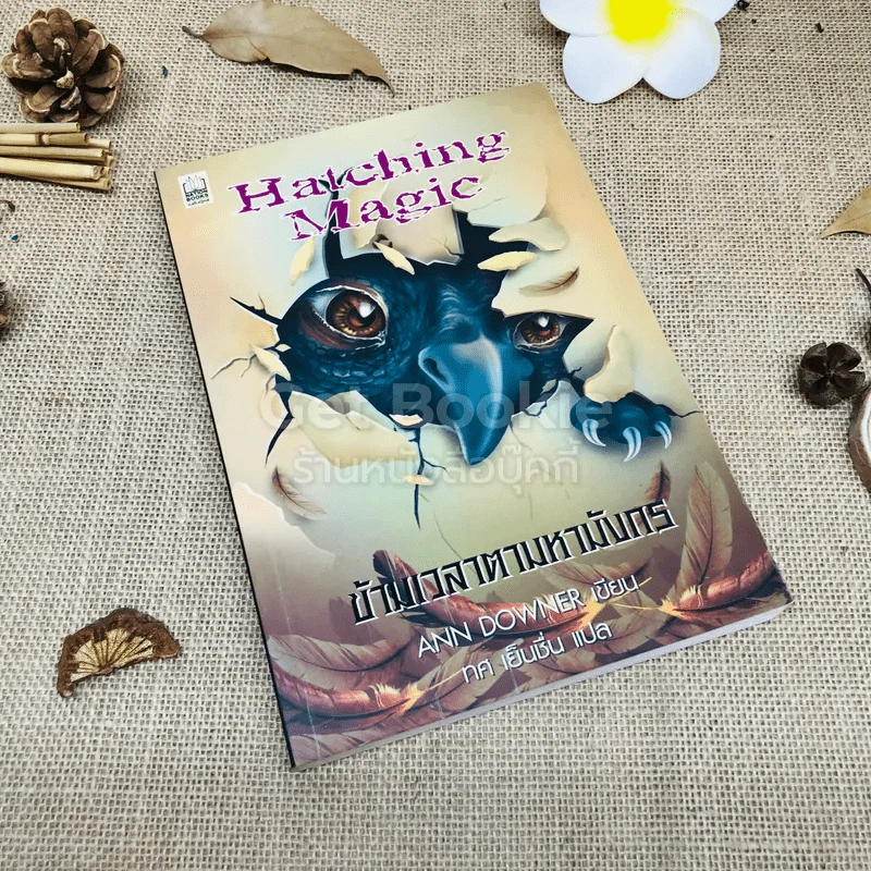 ข้ามเวลาตามหามังกร Hatching Magic รูปที่ 1