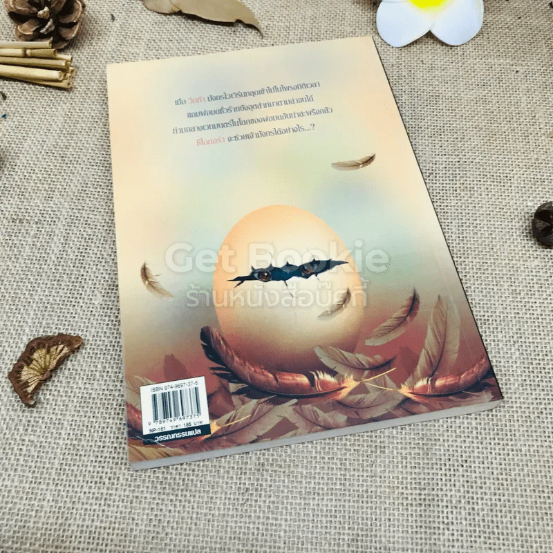 ข้ามเวลาตามหามังกร Hatching Magic รูปที่ 3