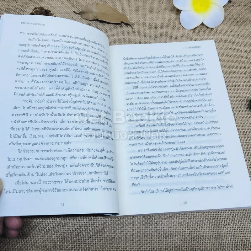ข้ามเวลาตามหามังกร Hatching Magic รูปที่ 8