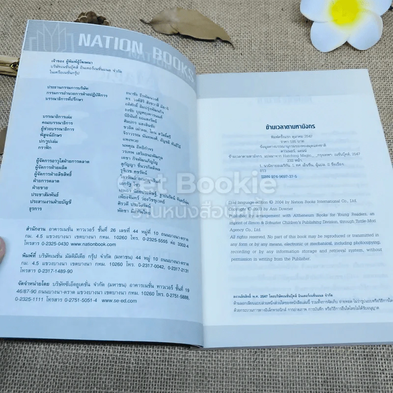 ข้ามเวลาตามหามังกร Hatching Magic รูปที่ 4