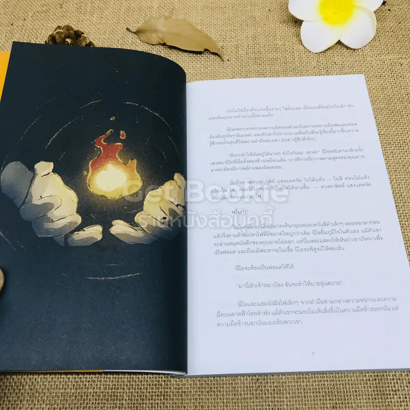 ทานตะวันบนดวงจันทร์ รูปที่ 5