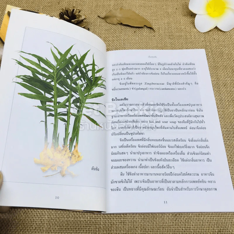ขิง-ข่า ตำรับอาหารเพื่อสุขภาพ รูปที่ 7