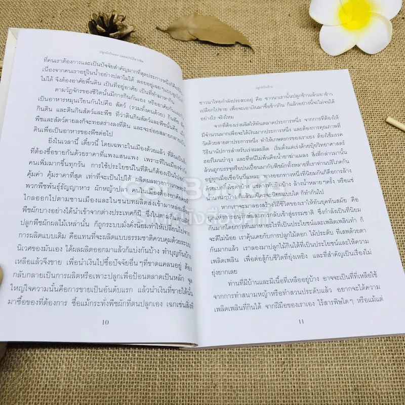 ปลูกผักกินเอง ปลอดภัยไร้สารพิษ รูปที่ 8