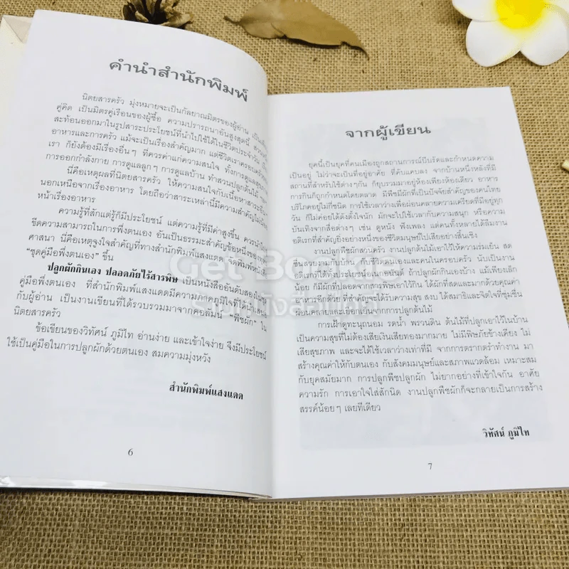 ปลูกผักกินเอง ปลอดภัยไร้สารพิษ รูปที่ 6