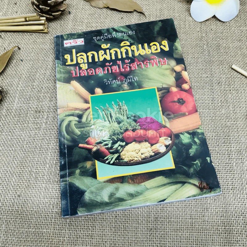 ปลูกผักกินเอง ปลอดภัยไร้สารพิษ รูปที่ 1