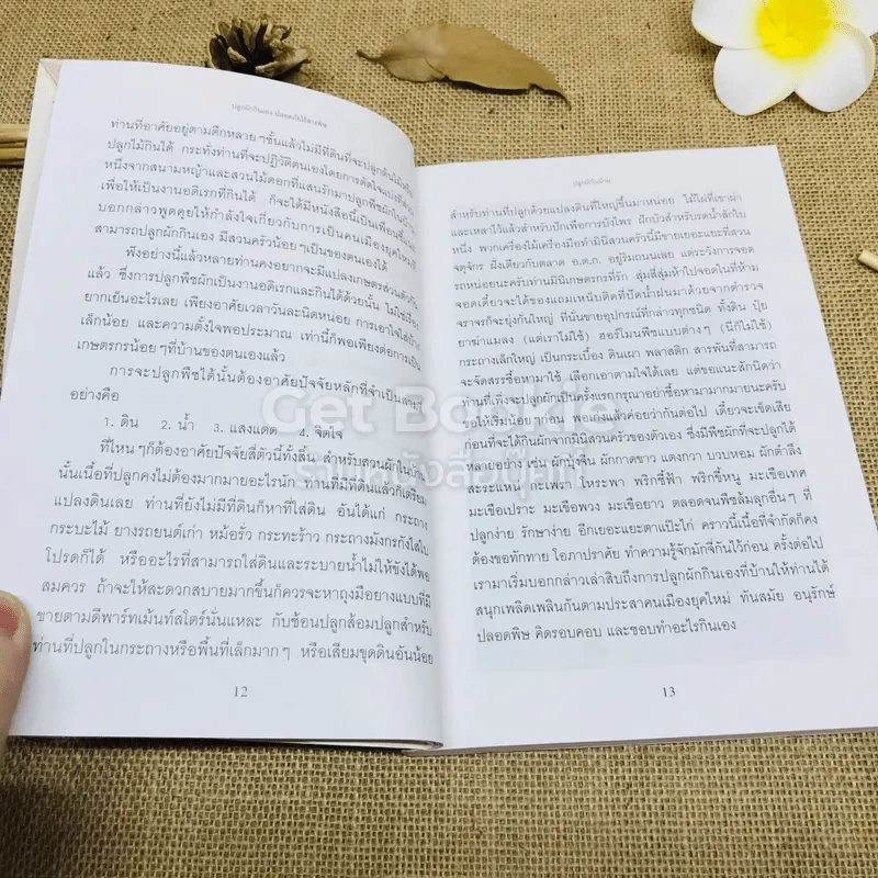 ปลูกผักกินเอง ปลอดภัยไร้สารพิษ รูปที่ 9