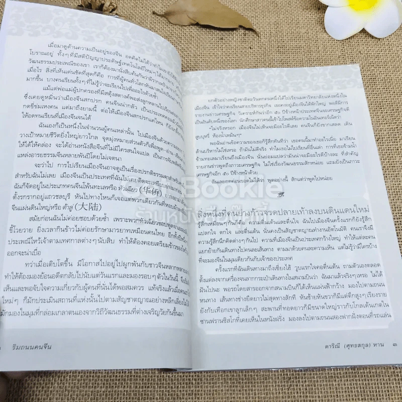 ริมถนนคนจีน - ดาริณี (ศุทธสกุล) หาน รูปที่ 8