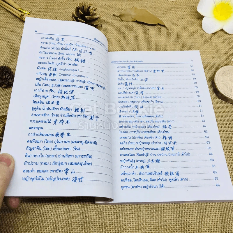 คู่มือสมุนไพร ไทย-จีน รูปที่ 7