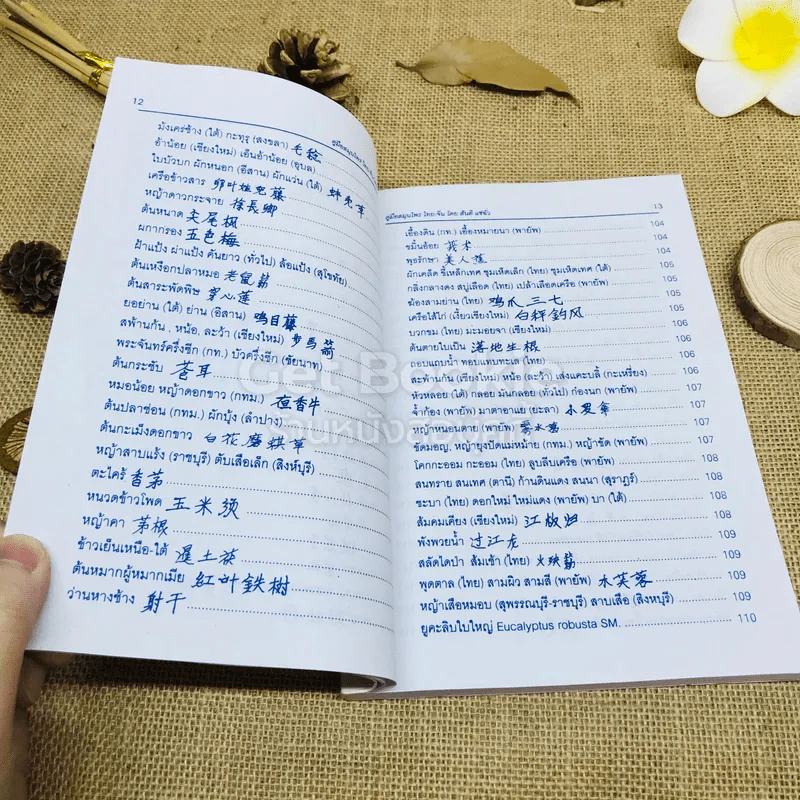 คู่มือสมุนไพร ไทย-จีน รูปที่ 10