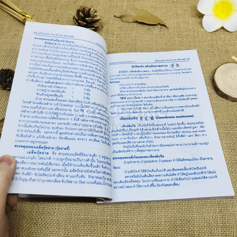 คู่มือสมุนไพร ไทย-จีน รูปที่ 15