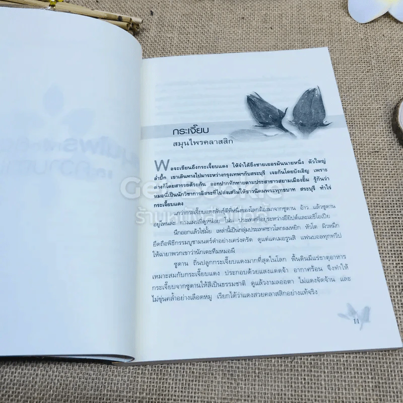 สมุนไพรเพื่อสุขภาพและความงาม รูปที่ 8