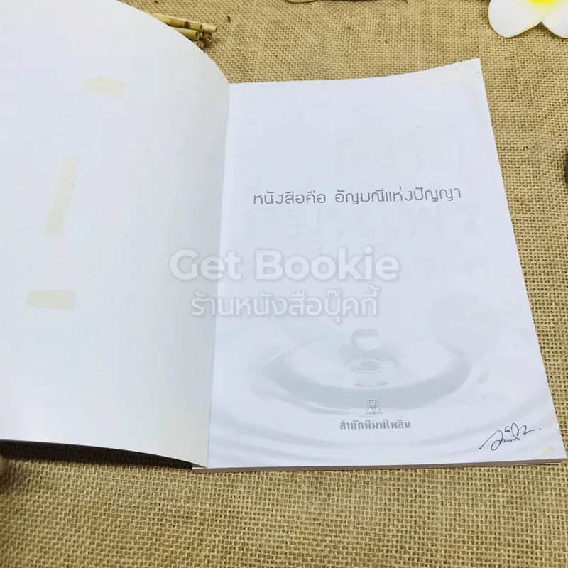 ผักพื้นบ้านไทย สมุนไพรต้านโรค รูปที่ 4
