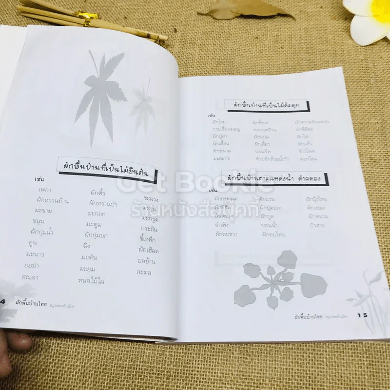 ผักพื้นบ้านไทย สมุนไพรต้านโรค รูปที่ 9