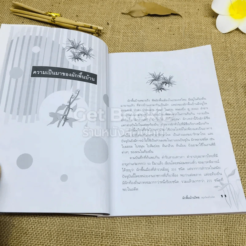 ผักพื้นบ้านไทย สมุนไพรต้านโรค รูปที่ 8
