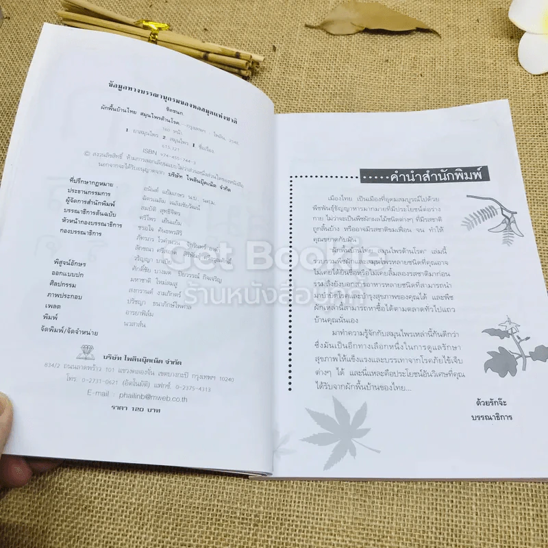 ผักพื้นบ้านไทย สมุนไพรต้านโรค รูปที่ 5