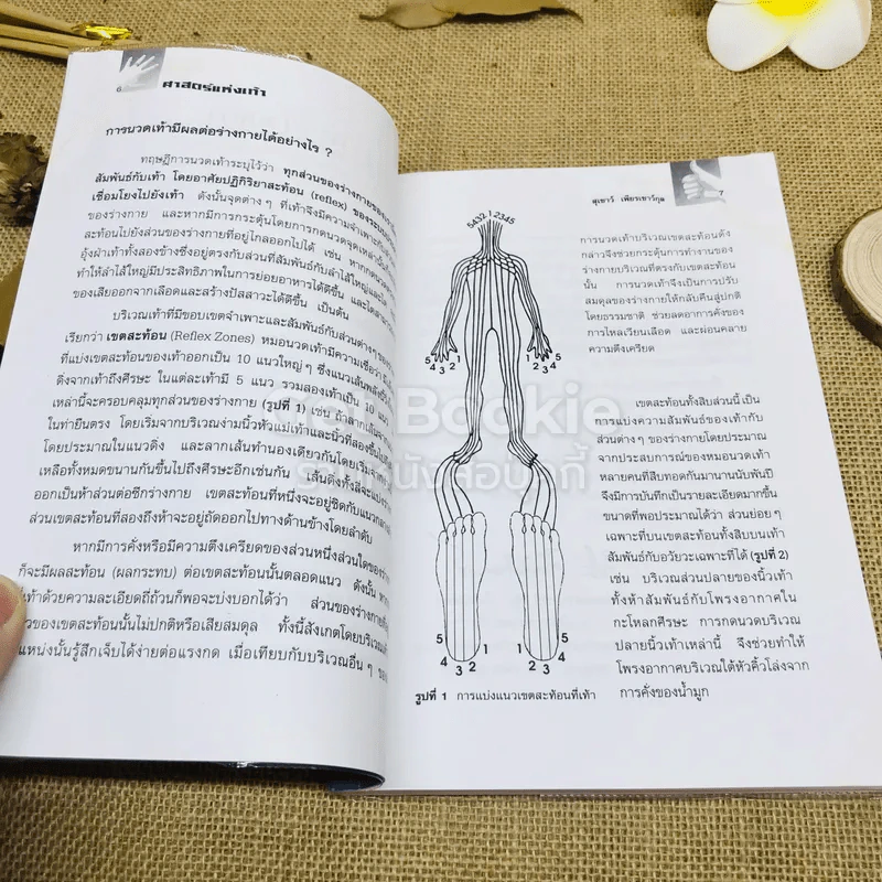 ศาสตร์แห่งเท้า รูปที่ 7