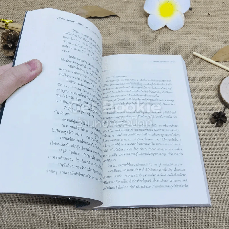 The Maze Runner Vol.1 เกมล่าปริศนา ตอน วงกตมฤตยู รูปที่ 11
