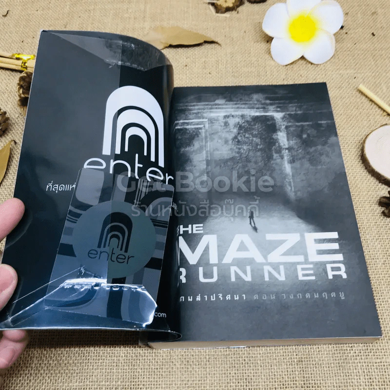 The Maze Runner Vol.1 เกมล่าปริศนา ตอน วงกตมฤตยู รูปที่ 4