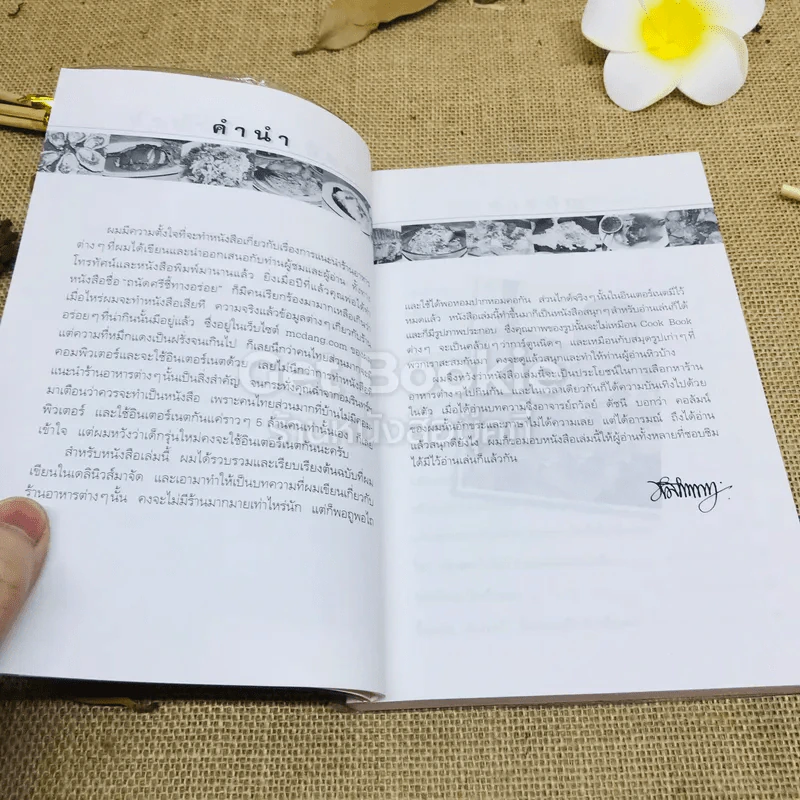 หมึกแดงไกด์ - ม.ล.ศิริเฉลิม สวัสดิวัตน์ รูปที่ 7